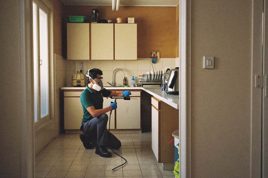 Cockroach treatment in a kitchen